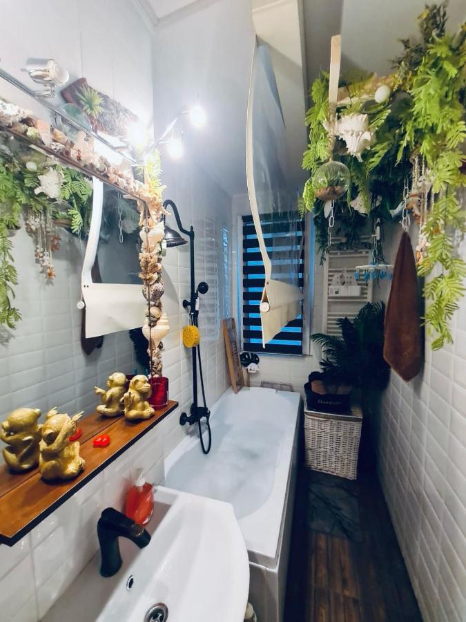 Apartment Liam Bukarest